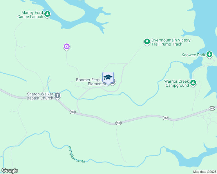 map of restaurants, bars, coffee shops, grocery stores, and more near 556 Boomer Ferguson School Road in Boomer