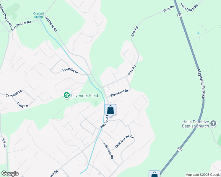 map of restaurants, bars, coffee shops, grocery stores, and more near 4602 Gray Road in Knoxville
