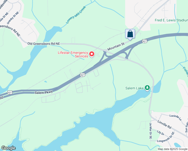 map of restaurants, bars, coffee shops, grocery stores, and more near 313 Linville Ridge Court Southeast in Winston-Salem