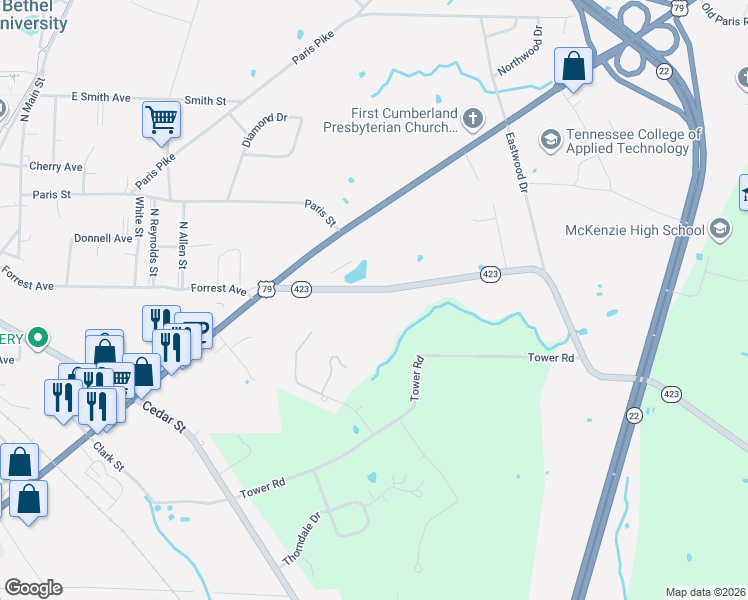 map of restaurants, bars, coffee shops, grocery stores, and more near 250 Tennessee 423 in McKenzie