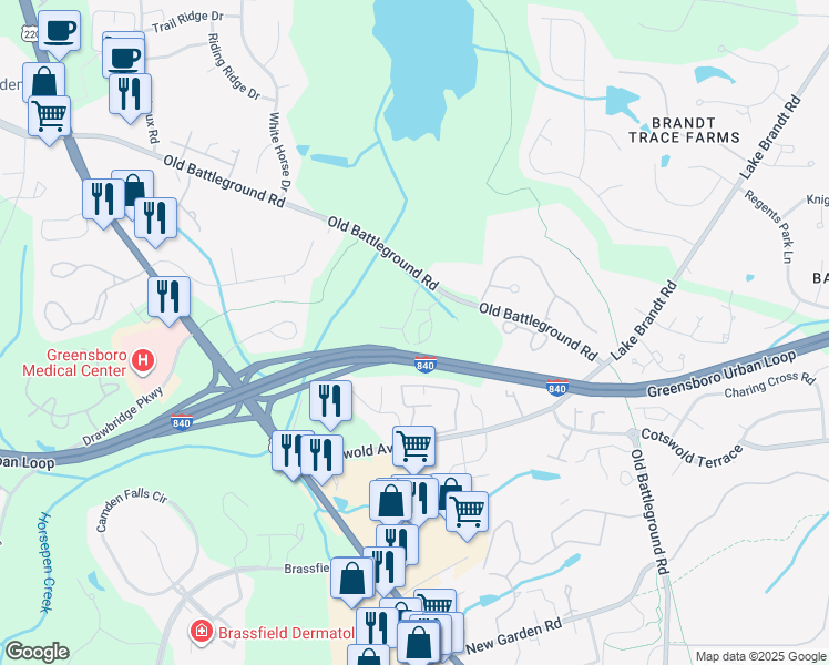 map of restaurants, bars, coffee shops, grocery stores, and more near 3048 Laurel Springs Drive in Greensboro