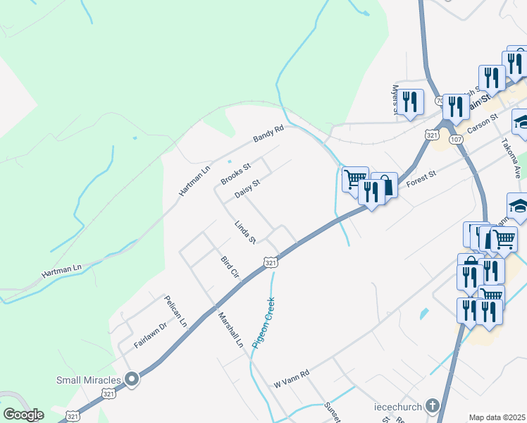 map of restaurants, bars, coffee shops, grocery stores, and more near 206 Ricker Avenue in Greeneville