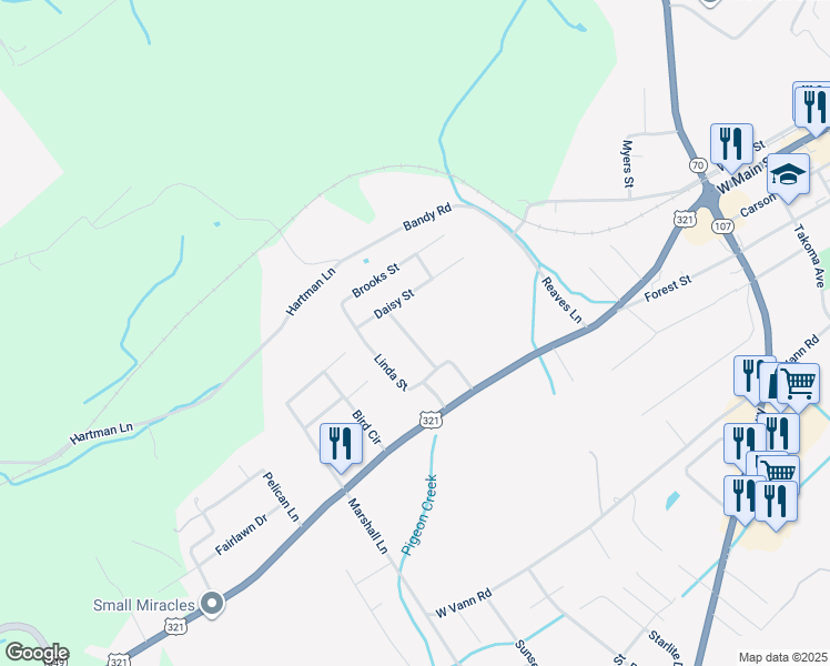 map of restaurants, bars, coffee shops, grocery stores, and more near 206 Ricker Avenue in Greeneville