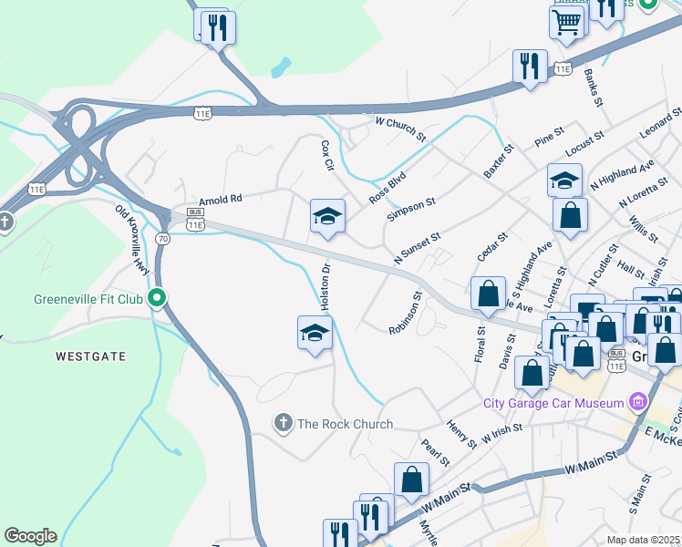 map of restaurants, bars, coffee shops, grocery stores, and more near 401 Holston Drive in Greeneville