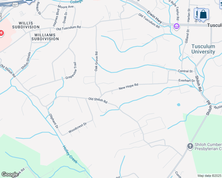 map of restaurants, bars, coffee shops, grocery stores, and more near 125 New Hope Road in Greeneville