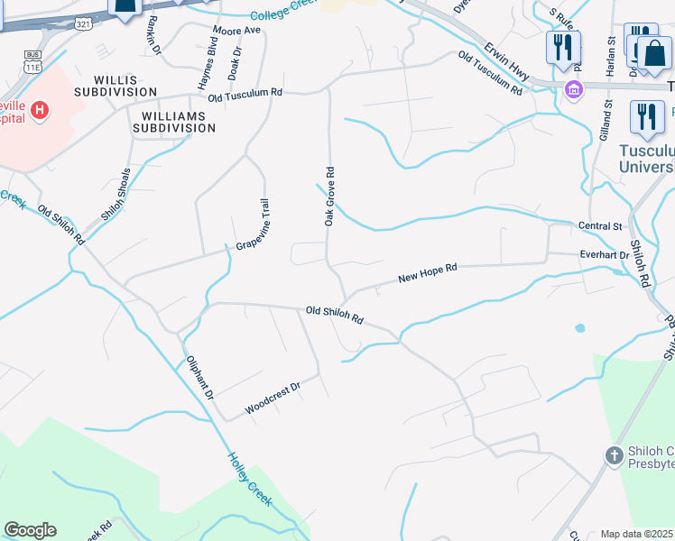 map of restaurants, bars, coffee shops, grocery stores, and more near 161 Oak Grove Road in Greeneville