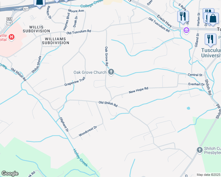 map of restaurants, bars, coffee shops, grocery stores, and more near 161 Oak Grove Road in Greeneville