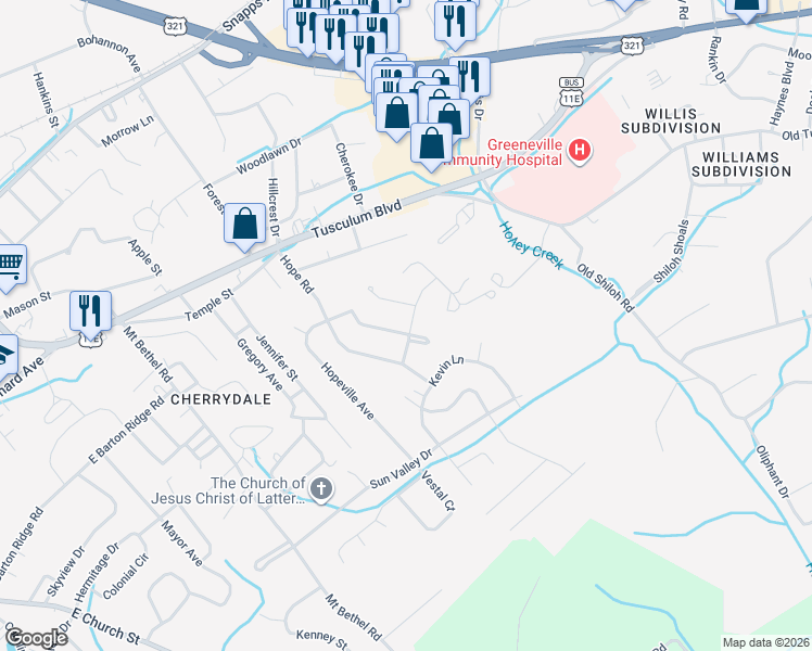 map of restaurants, bars, coffee shops, grocery stores, and more near 216 Dogwood Drive in Greeneville