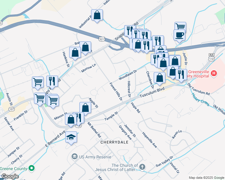 map of restaurants, bars, coffee shops, grocery stores, and more near 217 Forest Hills Drive in Greeneville