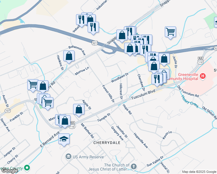 map of restaurants, bars, coffee shops, grocery stores, and more near 217 Forest Hills Drive in Greeneville
