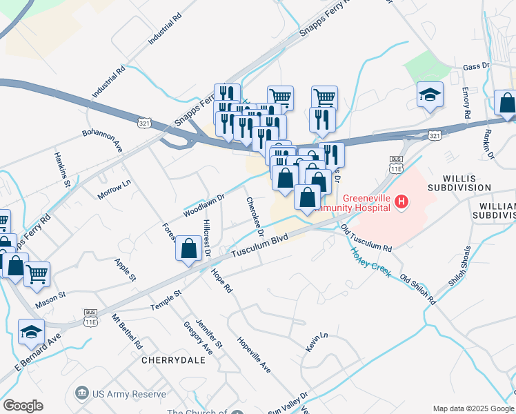 map of restaurants, bars, coffee shops, grocery stores, and more near 402 Circle Heights Drive in Greeneville