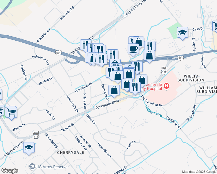 map of restaurants, bars, coffee shops, grocery stores, and more near 402 Circle Heights Drive in Greeneville