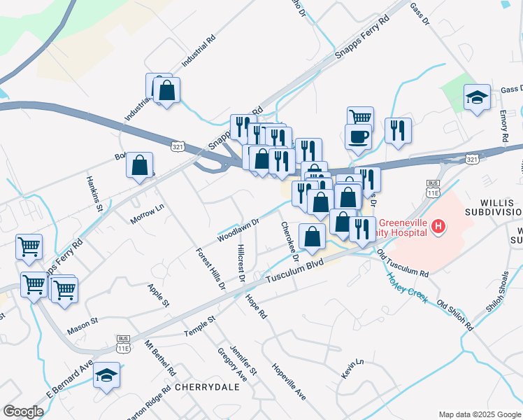 map of restaurants, bars, coffee shops, grocery stores, and more near 1504 Ridgeview Drive in Greeneville
