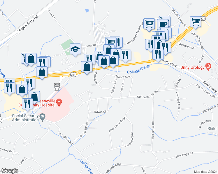 map of restaurants, bars, coffee shops, grocery stores, and more near 205 Rankin Drive in Greeneville