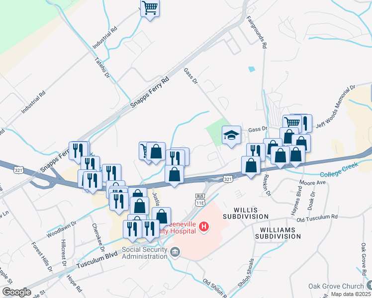 map of restaurants, bars, coffee shops, grocery stores, and more near 210 Luther Street in Greeneville