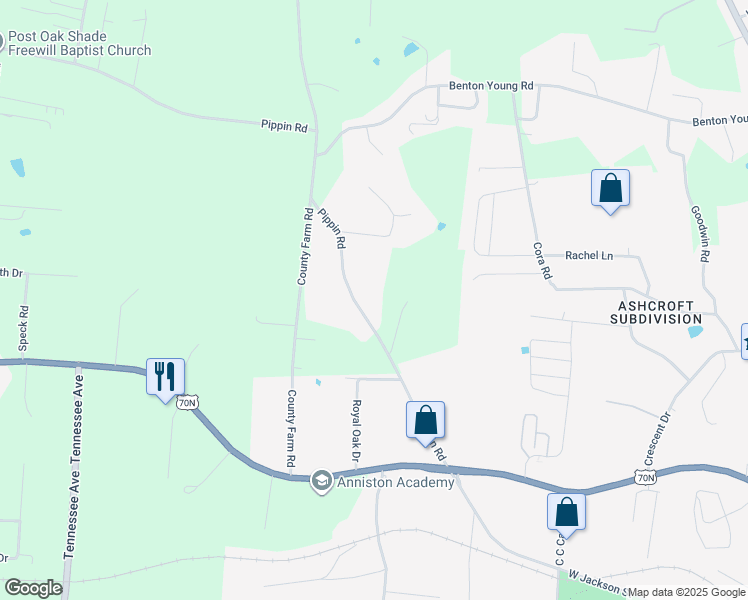 map of restaurants, bars, coffee shops, grocery stores, and more near 325 Pippin Road in Cookeville