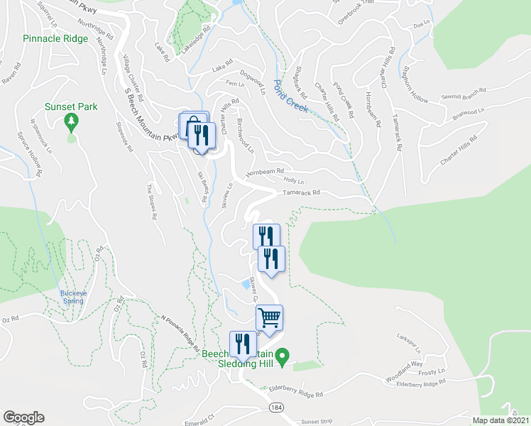 map of restaurants, bars, coffee shops, grocery stores, and more near 704 Beech Mountain Parkway in Beech Mountain