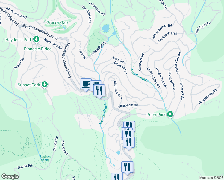 map of restaurants, bars, coffee shops, grocery stores, and more near 229 Birchwood Lane in Beech Mountain