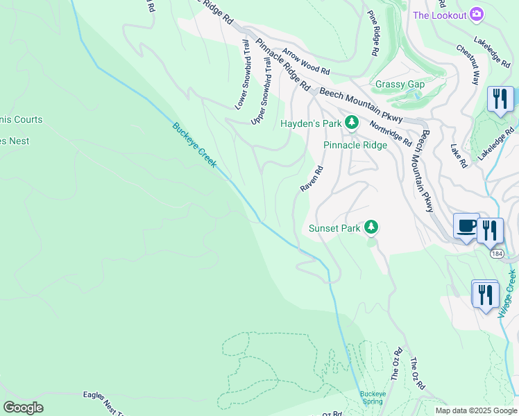 map of restaurants, bars, coffee shops, grocery stores, and more near 1510 Beech Mountain Parkway in Beech Mountain