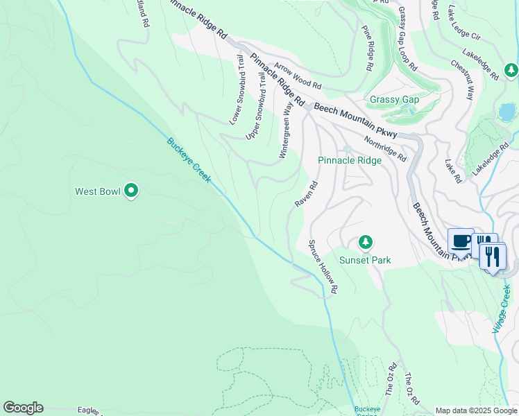 map of restaurants, bars, coffee shops, grocery stores, and more near 1510 Beech Mountain Parkway in Beech Mountain