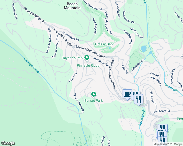 map of restaurants, bars, coffee shops, grocery stores, and more near 209 North Pinnacle Ridge Road in Beech Mountain