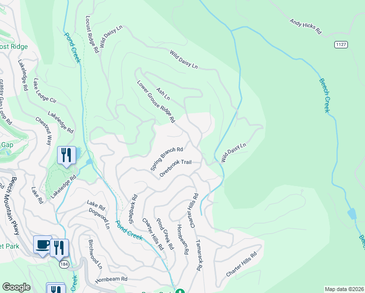map of restaurants, bars, coffee shops, grocery stores, and more near 204 Spring Branch Road in Beech Mountain