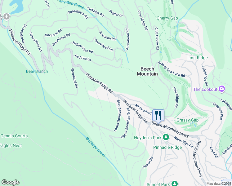 map of restaurants, bars, coffee shops, grocery stores, and more near 300 Pinnacle Ridge Road in Beech Mountain