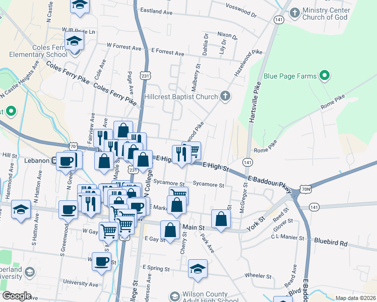 map of restaurants, bars, coffee shops, grocery stores, and more near 411 Hartsville Pike in Lebanon