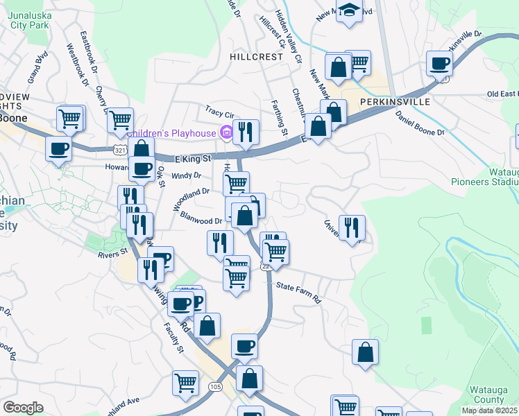 map of restaurants, bars, coffee shops, grocery stores, and more near 202 Eric Lane in Boone