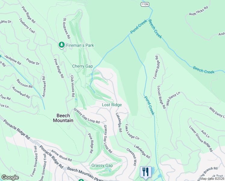 map of restaurants, bars, coffee shops, grocery stores, and more near 313 Saint Andrews Road in Beech Mountain