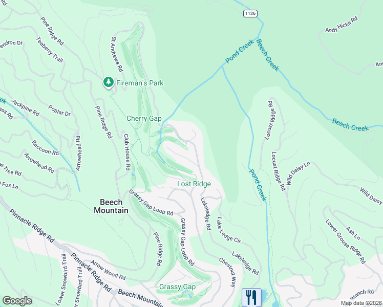 map of restaurants, bars, coffee shops, grocery stores, and more near 313 Saint Andrews Road in Beech Mountain