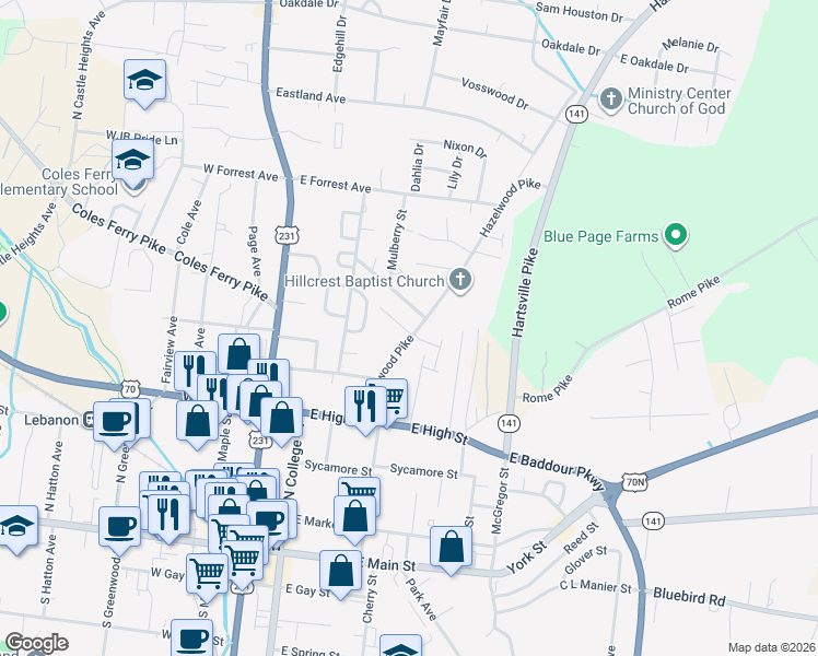 map of restaurants, bars, coffee shops, grocery stores, and more near 609 Hartsville Pike in Lebanon