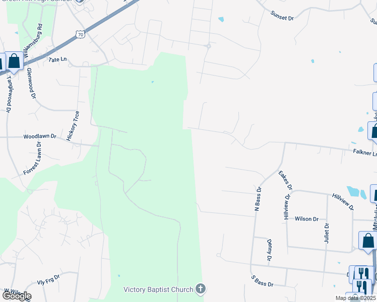 map of restaurants, bars, coffee shops, grocery stores, and more near 163 Falkner Lane in Mt. Juliet