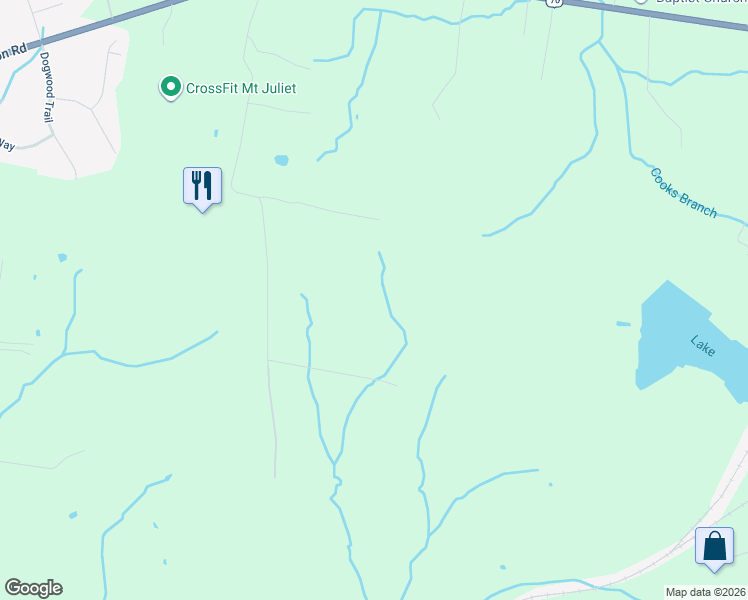 map of restaurants, bars, coffee shops, grocery stores, and more near 1042 Bass Lane in Mt. Juliet