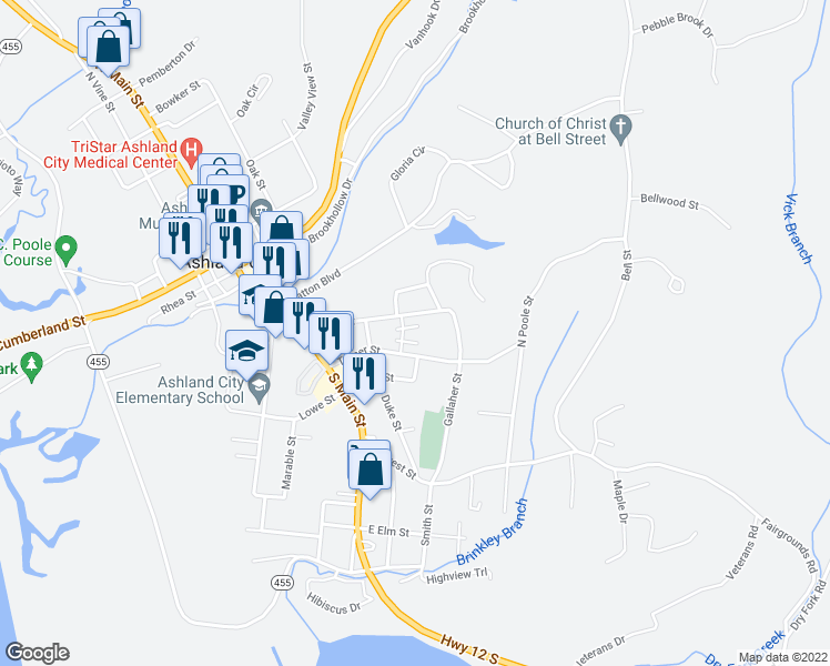 map of restaurants, bars, coffee shops, grocery stores, and more near 115 Turner Street in Ashland City