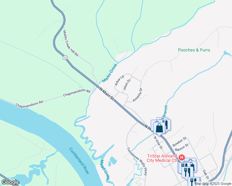 map of restaurants, bars, coffee shops, grocery stores, and more near 125 Arbor Loop in Ashland City