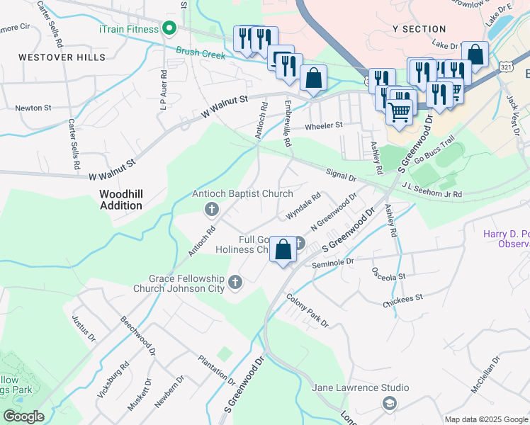 map of restaurants, bars, coffee shops, grocery stores, and more near 907 Antioch Road in Johnson City