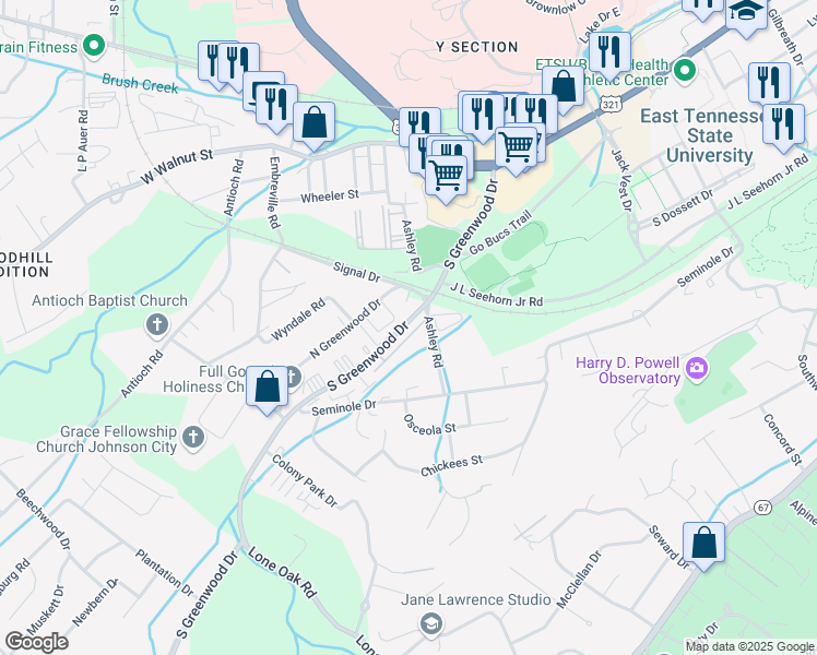map of restaurants, bars, coffee shops, grocery stores, and more near 1204 Ashley Road in Johnson City