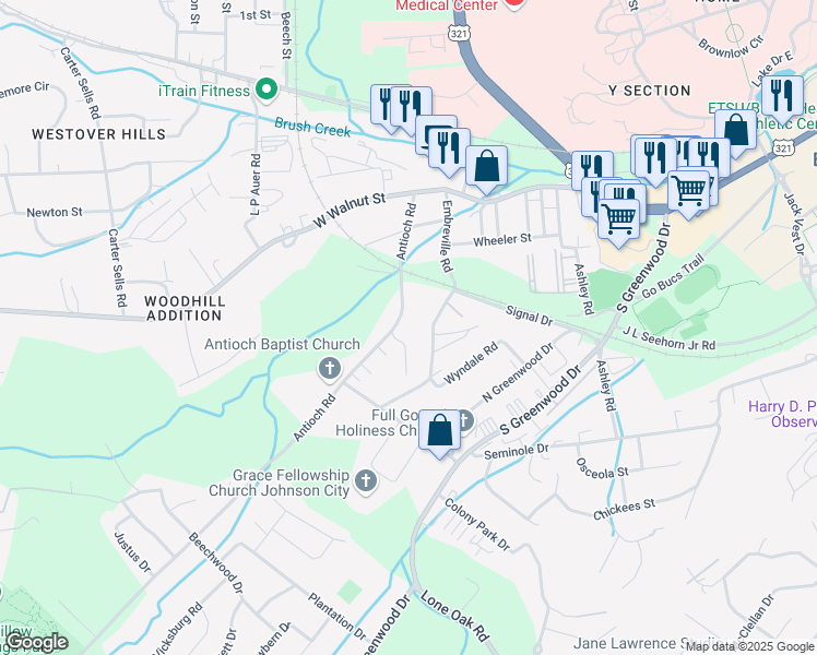 map of restaurants, bars, coffee shops, grocery stores, and more near 905 Antioch Road in Johnson City