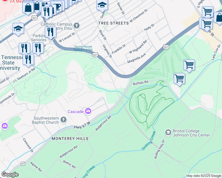 map of restaurants, bars, coffee shops, grocery stores, and more near 801 Magnolia Avenue Extension in Johnson City