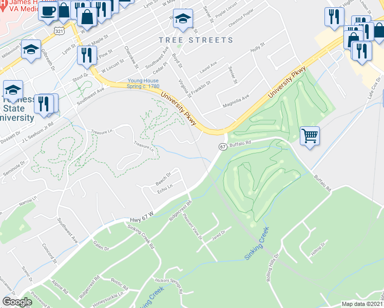 map of restaurants, bars, coffee shops, grocery stores, and more near 801 Magnolia Avenue Extension in Johnson City