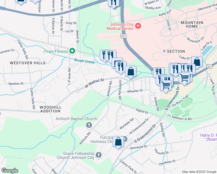 map of restaurants, bars, coffee shops, grocery stores, and more near 612 Antioch Road in Johnson City