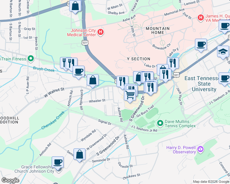 map of restaurants, bars, coffee shops, grocery stores, and more near 710 Lovelace St in Johnson City
