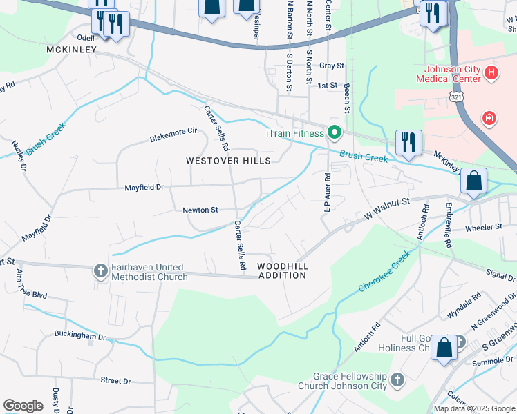 map of restaurants, bars, coffee shops, grocery stores, and more near 411 Brookhaven Drive in Johnson City