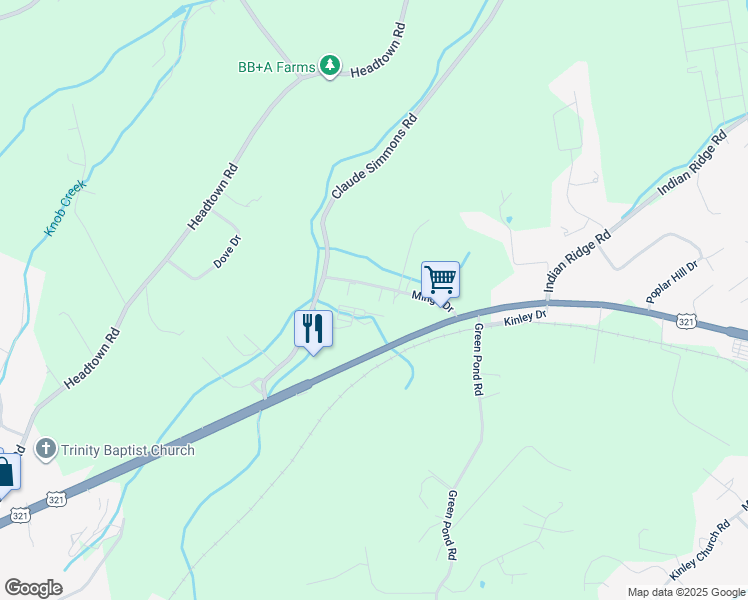 map of restaurants, bars, coffee shops, grocery stores, and more near 169 Minga Drive in Johnson City