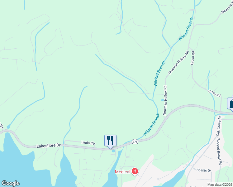 map of restaurants, bars, coffee shops, grocery stores, and more near 165 Meadow Run in Bean Station