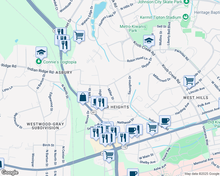 map of restaurants, bars, coffee shops, grocery stores, and more near 1504 Skyline Drive in Johnson City