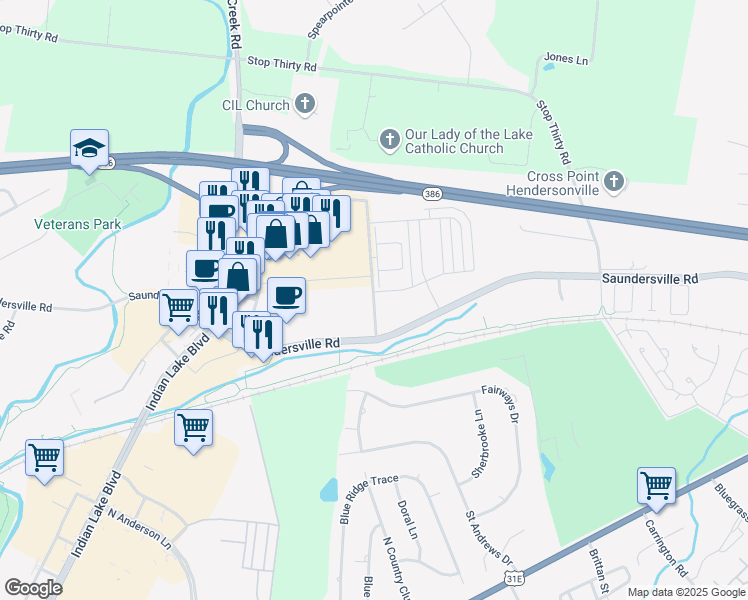 map of restaurants, bars, coffee shops, grocery stores, and more near 230 Cinema Drive in Hendersonville