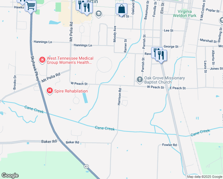 map of restaurants, bars, coffee shops, grocery stores, and more near 206 West Peach Street in Martin