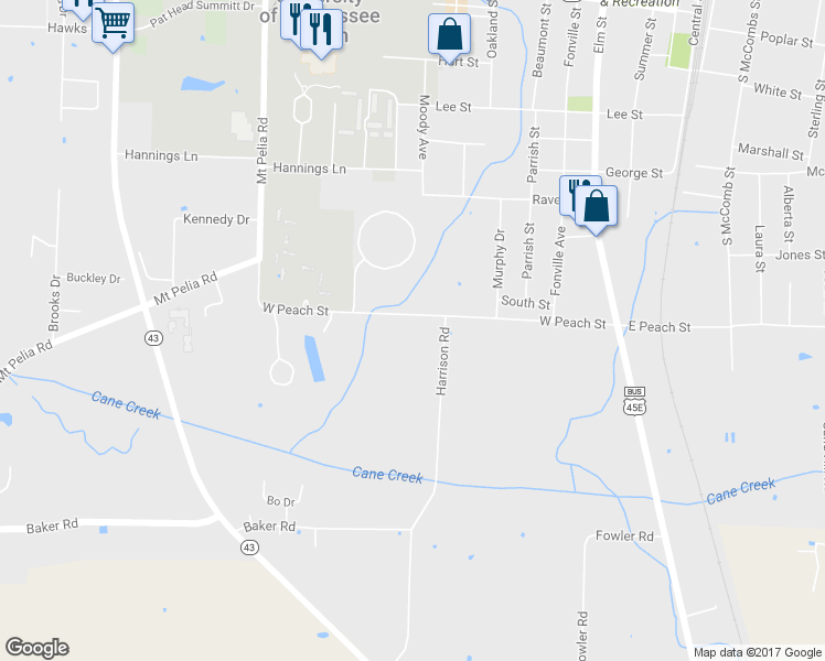 map of restaurants, bars, coffee shops, grocery stores, and more near 206 West Peach Street in Martin